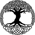 albero celtico